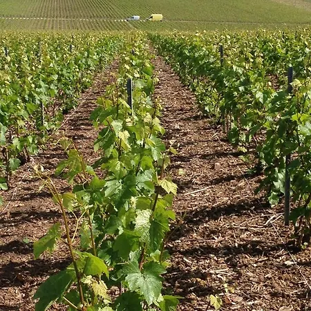 Du Clos Pommier *
