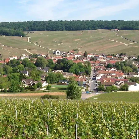 Сasa de vacaciones Du Clos Pommier Chavot-Courcourt